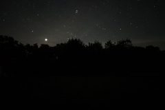 20240908_012038_resized