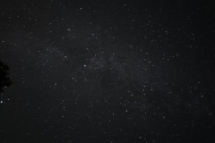 20240908_012429_resized