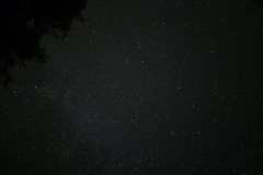 20250920_013006_resized